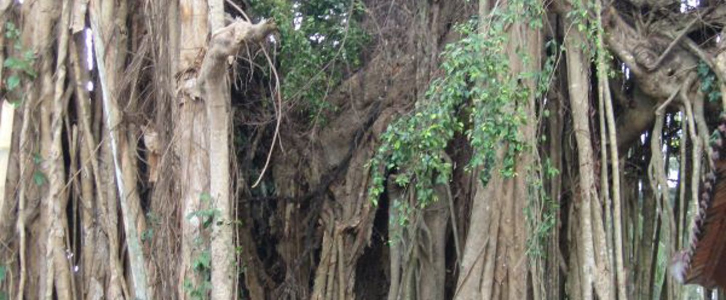 Beratungsstelle für den Umgang mit chronischen Erkrankungen.