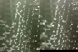 Neuroschamanismus Erfahrungen