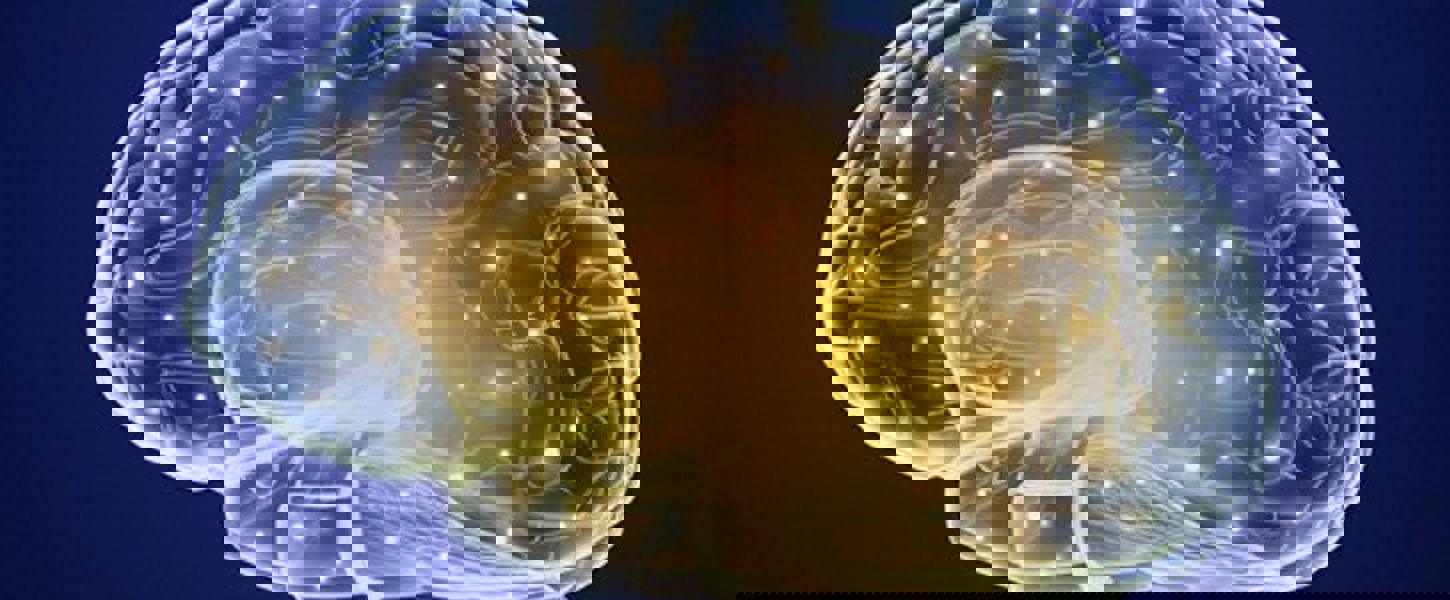 Schamanismus trifft Neurobiologie