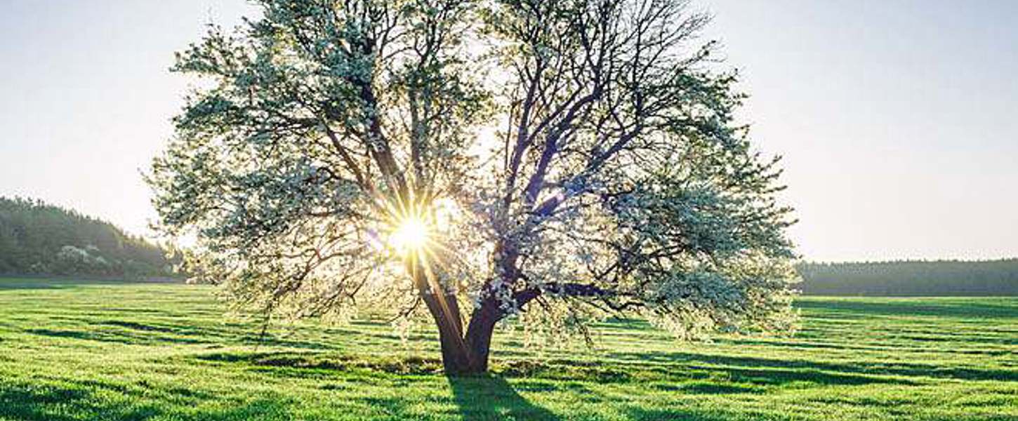 Die Kraft der Wertschätzung in Beziehungen