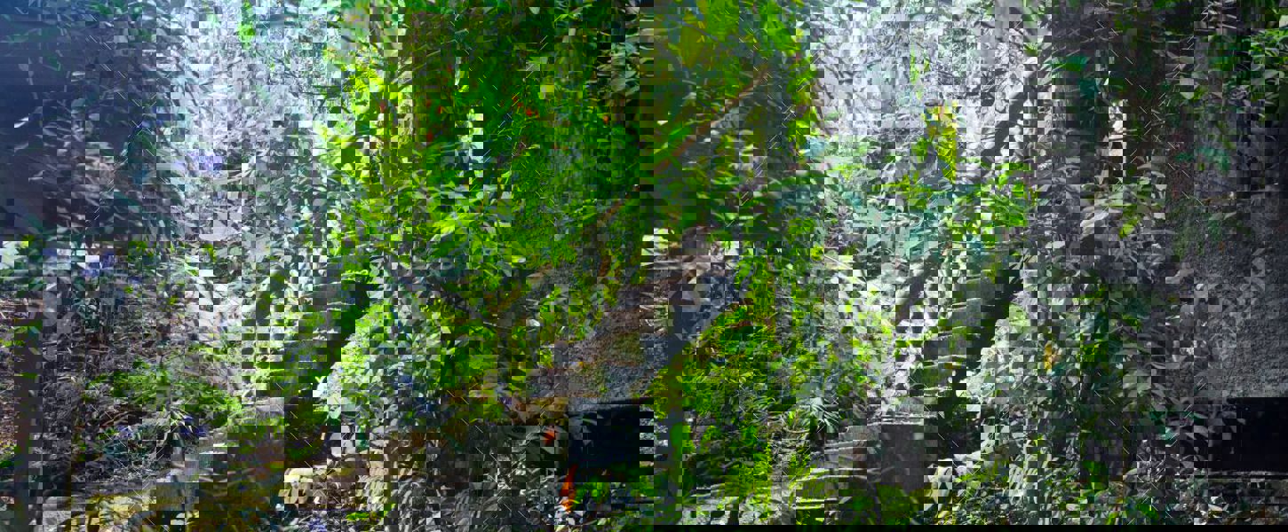 Eine Reise zur Selbstbestimmung