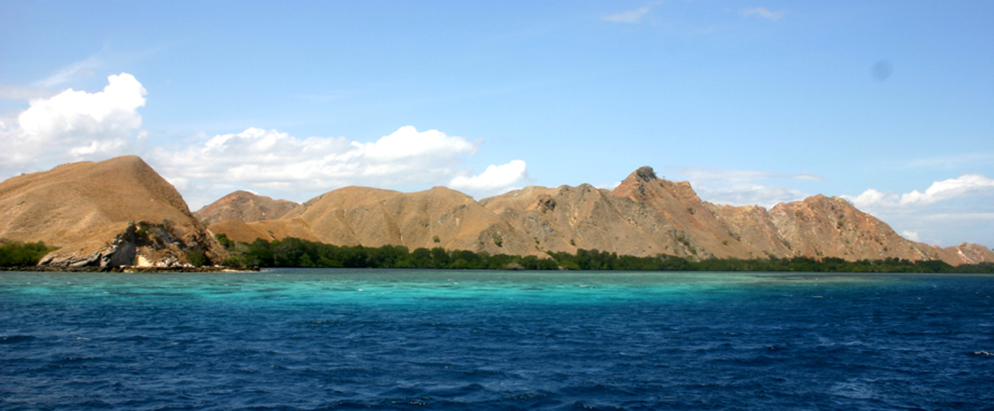 Die faszinierende Verbindung zwischen Psychologie und Schamanismus 